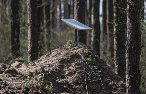 У Польщі прокоментували можливе відключення Starlink в Україні