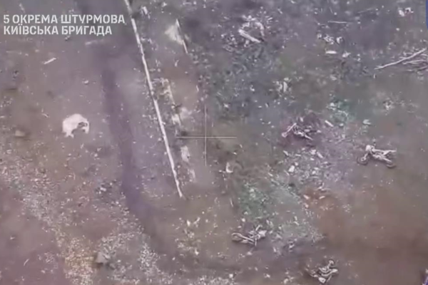 ЗСУ розбили мотозагін росіян на Донеччині