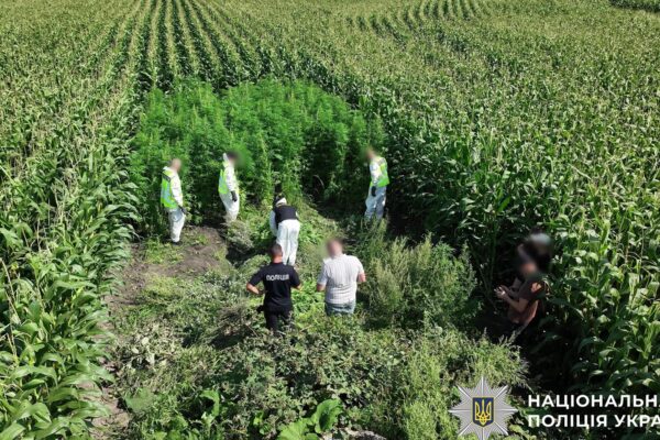 В Україні провели масштабну операцію Джентельмени