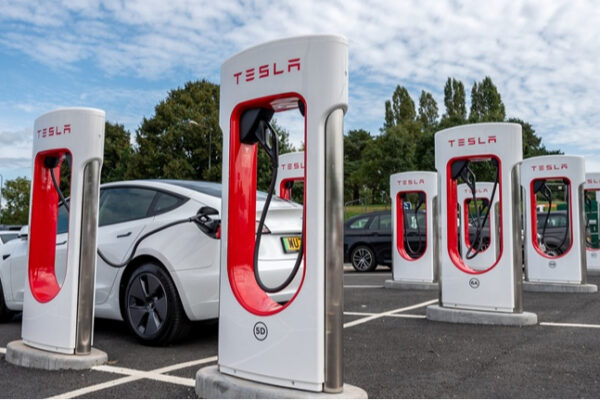 Tesla втрачає позиції: частка ринку США найнижча з 2017 року