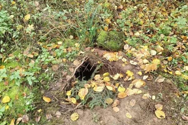 Прикордонна служба Польщі виявила тунель на кордоні з Білоруссю (фото)