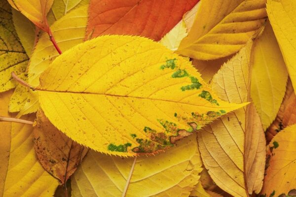 Гороскоп для всіх знаків зодіаку на 7 жовтня 2025 року