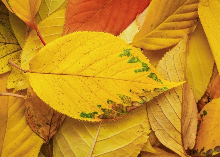 Гороскоп для всіх знаків зодіаку на 7 жовтня 2025 року