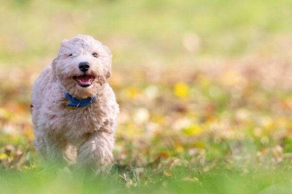 Гороскоп для всіх знаків зодіаку на 23 жовтня 2025 року