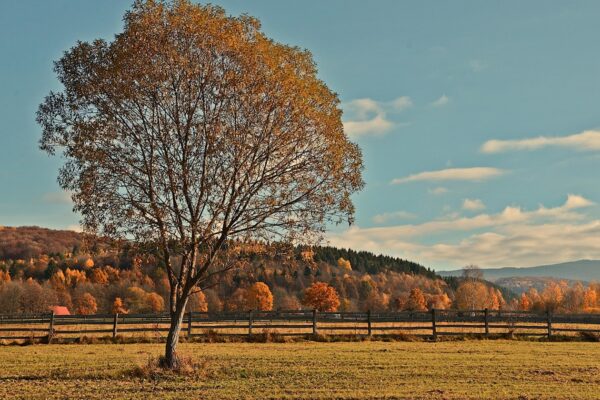 Гороскоп для всіх знаків зодіаку на вихідні 8-9 листопада 2025 року