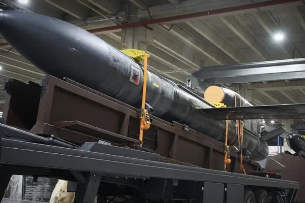 Україна випускає по три ракети «Фламінго» щодня – виробник назвав головну умову для збільшення виробництва