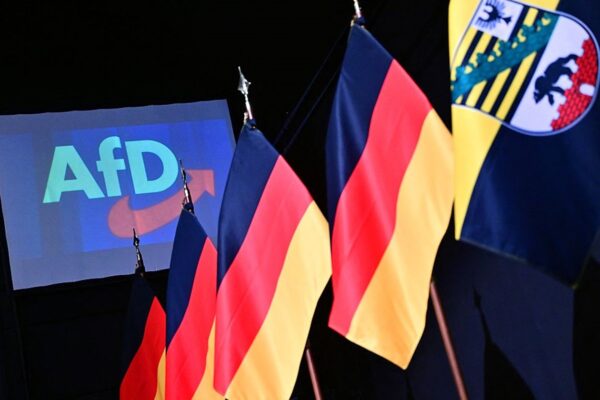 Стало відомо, яка вікова група голосувала за AfD