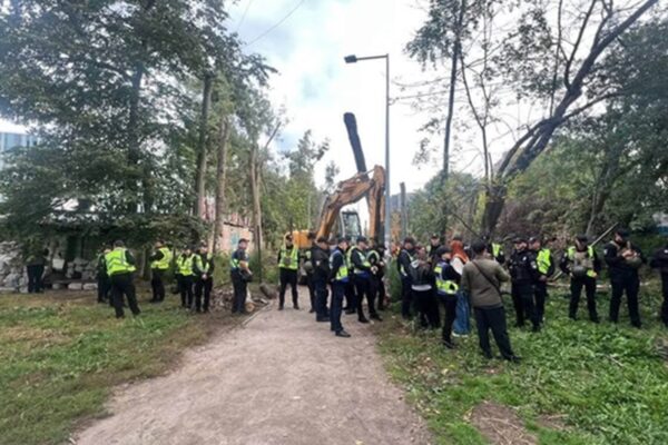 Затримали організатора сутички на Теремках у Києві - поліція